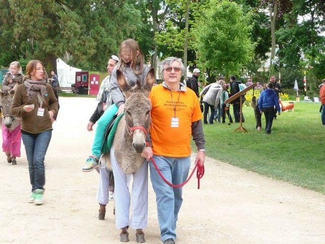 rodho 2013 (81).jpg